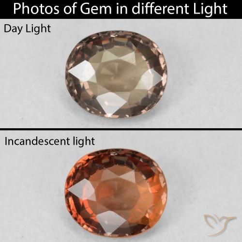1.16ct Naturel Marron foncé Grenat Couleur Changeant, ovale, VVS