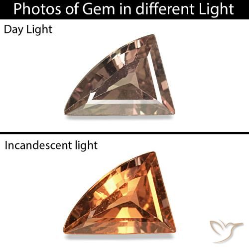 Saphir couleur-Changeant Marron foncé naturelle Forme fantaisie, 0.30 ct, VVS-VS