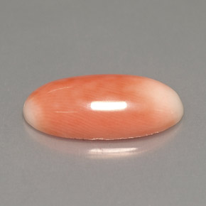Corail bicolore naturelle coupe ovale, 3,18 ct, opaque