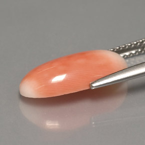 Corail bicolore naturelle coupe ovale, 3,18 ct, opaque