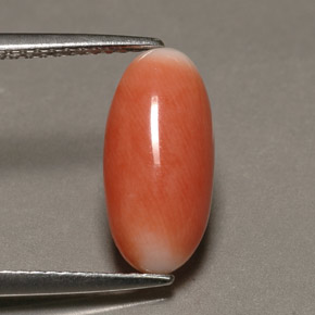 Corail bicolore naturelle coupe ovale, 2,23 ct, opaque