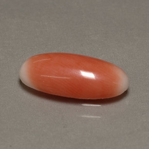 Corail bicolore naturelle coupe ovale, 2,23 ct, opaque
