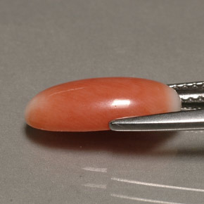 Corail bicolore naturelle coupe ovale, 2,23 ct, opaque