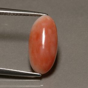 Corail rose naturelle coupe ovale, 3,10 ct, opaque