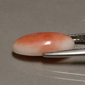 Corail rose naturelle coupe ovale, 3,10 ct, opaque