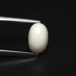 Corail blanc naturelle coupe ovale, 2,49 ct, opaque