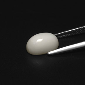 Corail blanc naturelle coupe ovale, 2,49 ct, opaque
