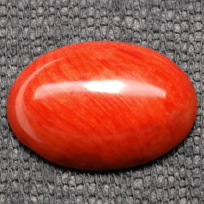 Corail orange naturelle coupe ovale, 7,43 ct, opaque