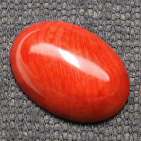 Corail orange naturelle coupe ovale, 7,43 ct, opaque