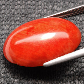 Corail orange naturelle coupe ovale, 7,43 ct, opaque