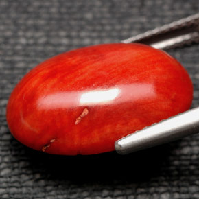 Corail Orange naturelle Coupe ovale, 9.84 ct, Opaque