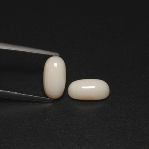 Achetez naturel ct blanc corail gems, coupe ovale, en provenance australie chez gemselect. en stock, livraison internationale!