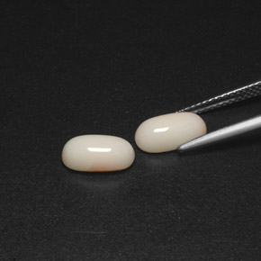 Achetez naturel ct blanc corail gems, coupe ovale, en provenance australie chez gemselect. en stock, livraison internationale!