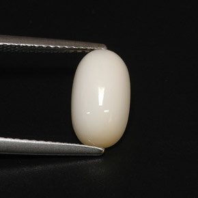 Corail blanc naturelle coupe ovale, 2,81 ct, opaque