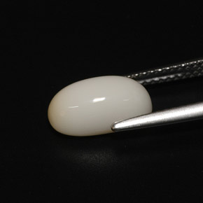 Corail blanc naturelle coupe ovale, 2,81 ct, opaque