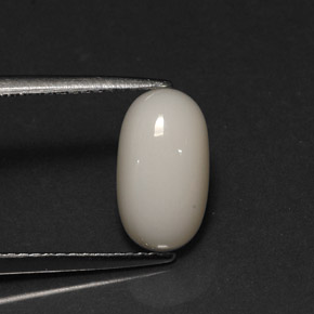 Corail blanc naturelle coupe ovale, 2,78 ct, opaque