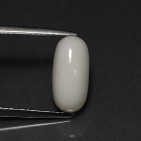 Corail blanc naturelle coupe ovale, 2,73 ct, opaque