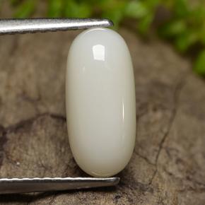 Corail blanc naturelle coupe ovale, 2,50 ct, opaque