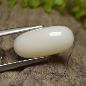 Corail blanc naturelle coupe ovale, 2,50 ct, opaque