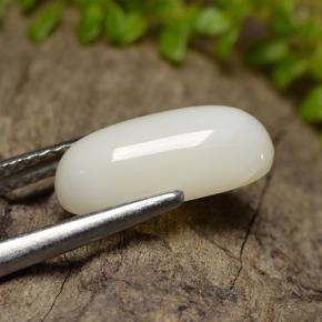 Corail blanc naturelle coupe ovale, 2,50 ct, opaque