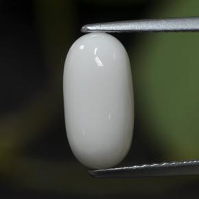 Corail blanc naturelle coupe ovale, 2,63 ct, opaque