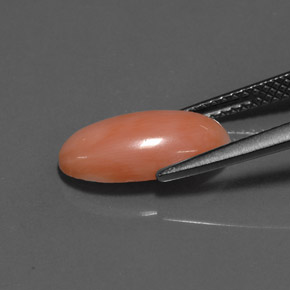 Corail Saumon blanc naturelle Coupe ovale, 2.52 ct, Opaque