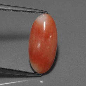 Corail rose naturelle coupe ovale, 2,55 ct, opaque