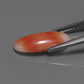 Corail rose naturelle coupe ovale, 2,55 ct, opaque