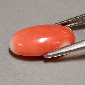 Corail rose naturelle coupe ovale, 2,85 ct, opaque