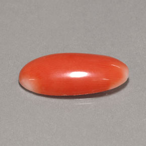 Corail Saumon blanc naturelle Coupe ovale, 2.62 ct, Opaque