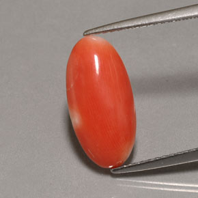 Corail Saumon blanc naturelle Coupe ovale, 2.62 ct, Opaque