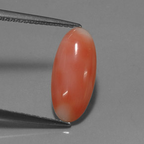 Corail rose naturelle coupe ovale, 2,03 ct, opaque
