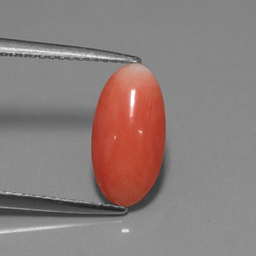 Corail rose naturelle coupe ovale, 1,69 ct, opaque