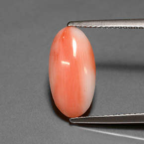 Corail rose naturelle coupe ovale, 2,00 ct, opaque