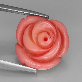 Corail Saumon naturelle Forme fantaisie, 12.20 ct, Opaque