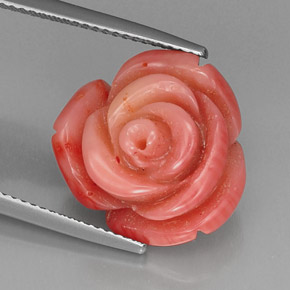 Corail rose naturelle forme fantaisie, 13,65 ct, opaque
