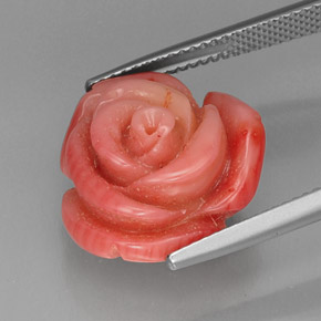 Corail rose naturelle forme fantaisie, 13,65 ct, opaque