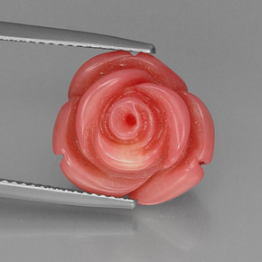 Corail rose naturelle forme fantaisie, 10,17 ct, opaque