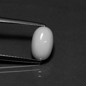 Corail blanc naturelle coupe ovale, 2,29 ct, opaque