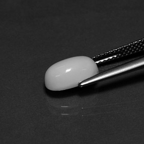 Corail blanc naturelle coupe ovale, 2,29 ct, opaque
