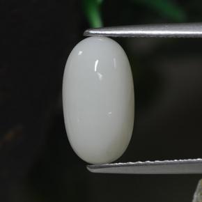 Corail blanc naturelle coupe ovale, 2,30 ct, opaque