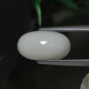 Corail blanc naturelle coupe ovale, 2,30 ct, opaque