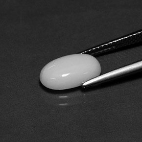 Corail blanc naturelle coupe ovale, 2,27 ct, opaque