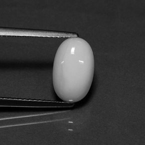 Corail blanc naturelle coupe ovale, 2,54 ct, opaque