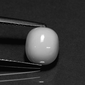 Corail blanc naturelle coupe ovale, 2,26 ct, opaque