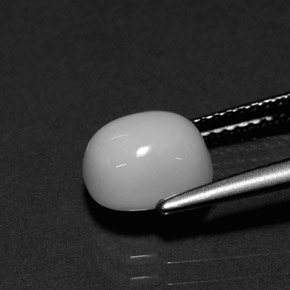 Corail blanc naturelle coupe ovale, 2,26 ct, opaque