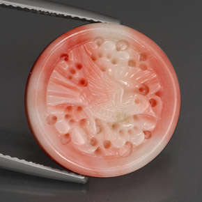 Corail multicolore naturelle forme fantaisie, 12,80 ct, opaque