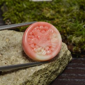 Corail multicolore naturelle forme fantaisie, 12,62 ct, opaque