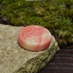 Corail multicolore naturelle forme fantaisie, 12,62 ct, opaque