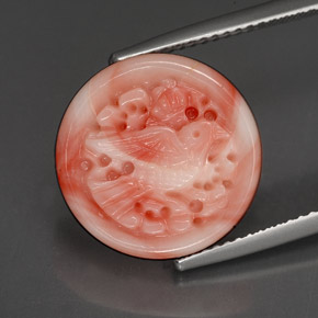 Corail multicolore naturelle forme fantaisie, 9,20 ct, opaque